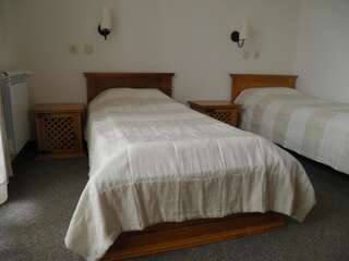 Отель Pripetzite Hotel Godlevo Двухместный номер с 1 кроватью или 2 отдельными кроватями-1