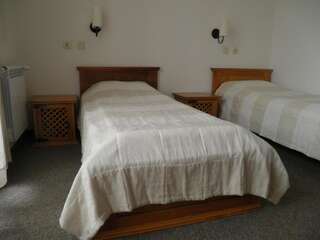 Отель Pripetzite Hotel Godlevo Двухместный номер с 1 кроватью или 2 отдельными кроватями-6